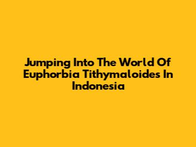 Jumping Into The World Of Euphorbia Tithymaloides In Indonesia